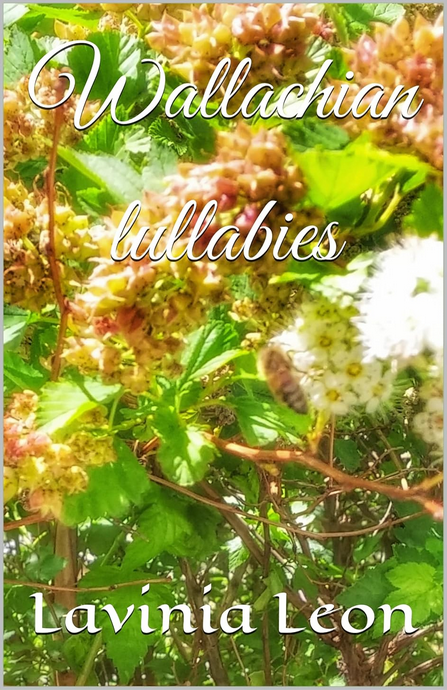 Upload a cover image